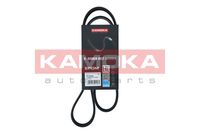 KAMOKA 7016056 - Correa trapecial poli V