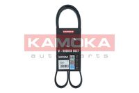 KAMOKA 7016074 - Correa trapecial poli V