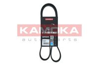 KAMOKA 7016077 - año construcción hasta: 10/2003<br>Unidades accionadas: Alternador<br>Equipamiento de vehículo: para vehículos sin aire acondicionado<br>Material de las bielas: Poliéster<br>Material de las correas: EPDM (Ethylen-Propylen-Dien-Caucho)<br>Color: negro<br>Número de nervaduras: 6<br>Ancho [mm]: 21<br>Longitud [mm]: 815<br>