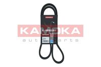 KAMOKA 7016081 - Unidades accionadas: Alternador<br>N.º de chasis (VIN) hasta: 7M-6-506 378<br>Material: EPDM (Ethylen-Propylen-Dien-Caucho)<br>por un lado/por los dos lados: de dos lados<br>Longitud [mm]: 1195<br>Ancho [mm]: 21<br>Número de nervaduras: 6<br>