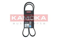 KAMOKA 7016082 - Correa trapecial poli V