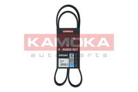 KAMOKA 7016084 - Correa trapecial poli V