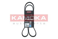 KAMOKA 7016091 - Correa trapecial poli V