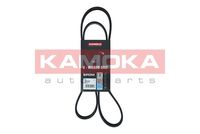 KAMOKA 7016099 - Correa trapecial poli V