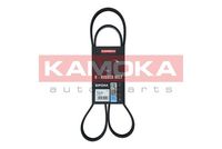 KAMOKA 7016102 - Correa trapecial poli V