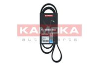 KAMOKA 7016118 - Correa trapecial poli V