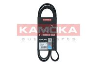 KAMOKA 7016126 - Unidades accionadas: Alternador<br>Código de motor: KFW (TU3JP)<br>Código de motor: KFX (TU3JP)<br>Material: EPDM (Ethylen-Propylen-Dien-Caucho)<br>Longitud [mm]: 1560<br>Ancho [mm]: 21<br>Número de nervaduras: 6<br>