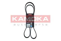 KAMOKA 7016129 - Unidades accionadas: Alternador<br>N.º de chasis (VIN) desde: 8E-4-191 001<br>Material: EPDM (Ethylen-Propylen-Dien-Caucho)<br>Longitud [mm]: 1570<br>Número de nervaduras: 6<br>