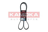 KAMOKA 7016131 - Correa trapecial poli V