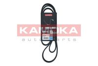 KAMOKA 7016135 - Unidades accionadas: Alternador<br>año construcción hasta: 10/1997<br>Unidades accionadas: Bomba de la dirección asistida<br>Material: EPDM (Ethylen-Propylen-Dien-Caucho)<br>Longitud [mm]: 1432<br>Número de nervaduras: 6<br>