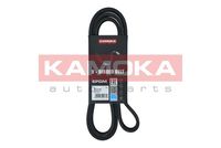 KAMOKA 7016143 - Correa trapecial poli V