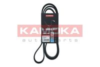 KAMOKA 7016149 - Correa trapecial poli V