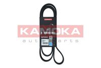 KAMOKA 7016154 - Correa trapecial poli V