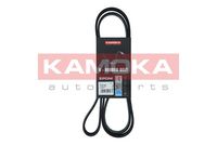 KAMOKA 7016164 - Correa trapecial poli V