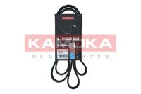 KAMOKA 7016168 - Correa trapecial poli V