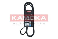 KAMOKA 7016179 - Unidades accionadas: Alternador<br>N.º de chasis (VIN) desde: 6L-3-207 001<br>Material: EPDM (Ethylen-Propylen-Dien-Caucho)<br>Propiedad química: elástico<br>Longitud [mm]: 1873<br>Número de nervaduras: 6<br>