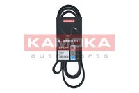 KAMOKA 7016187 - Unidades accionadas: Alternador<br>año construcción hasta: 05/1998<br>Unidades accionadas: Bomba de la dirección asistida<br>Material: EPDM (Ethylen-Propylen-Dien-Caucho)<br>Longitud [mm]: 1720<br>Número de nervaduras: 6<br>