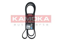 KAMOKA 7016194 - Correa trapecial poli V