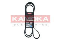 KAMOKA 7016202 - Correa trapecial poli V