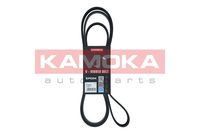 KAMOKA 7016216 - Correa trapecial poli V