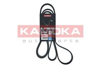 KAMOKA 7016228 - Correa trapecial poli V