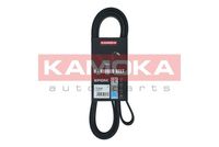 KAMOKA 7016235 - Correa trapecial poli V