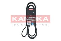 KAMOKA 7016236 - Correa trapecial poli V