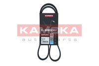 KAMOKA 7017004 - Correa trapecial poli V