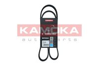 KAMOKA 7017005 - Correa trapecial poli V