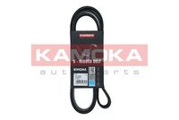 KAMOKA 7017021 - Correa trapecial poli V