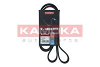 KAMOKA 7017022 - Correa trapecial poli V