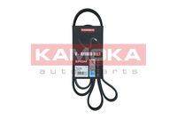 KAMOKA 7017031 - Correa trapecial poli V