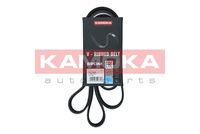 KAMOKA 7017033 - Correa trapecial poli V