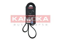 KAMOKA 7017040 - Correa trapecial poli V