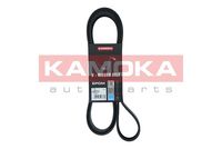 KAMOKA 7017041 - Correa trapecial poli V