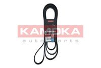 KAMOKA 7017048 - Correa trapecial poli V