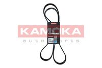 KAMOKA 7018004 - Unidades accionadas: Alternador<br>Material: EPDM (Ethylen-Propylen-Dien-Caucho)<br>Longitud [mm]: 1230<br>Número de nervaduras: 8<br>