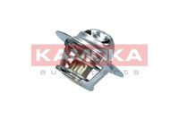 KAMOKA 7710076 - 