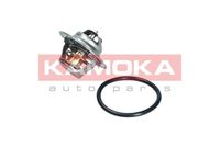 KAMOKA 7710095 - 