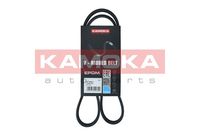 KAMOKA 7015031 - Correa trapecial poli V