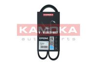 KAMOKA 7015016 - Correa trapecial poli V