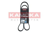 KAMOKA 7016072 - Correa trapecial poli V