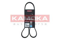 KAMOKA 7016051 - Correa trapecial poli V