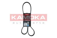 KAMOKA 7016096 - Correa trapecial poli V