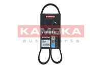 KAMOKA 7015044 - Correa trapecial poli V