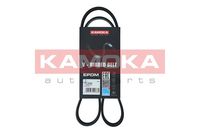 KAMOKA 7015030 - Correa trapecial poli V