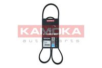 KAMOKA 7015042 - Correa trapecial poli V