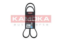 KAMOKA 7016045 - Correa trapecial poli V