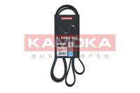 KAMOKA 7016169 - Correa trapecial poli V