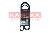 KAMOKA 7016119 - Correa trapecial poli V